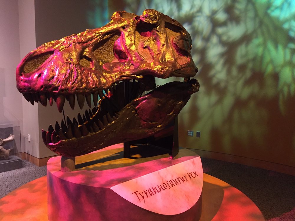 North Carolina Museum of Natural Sciences 763 Photos & 233 Reviews