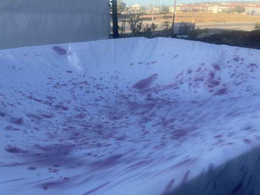 MCV Wines by null