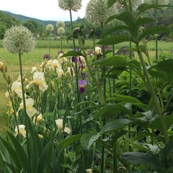 Johnnycake Flats Inn - Southern exposure - Hotels Near Me - Roxbury, Vermont