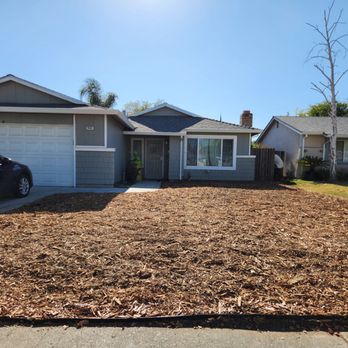FC Valley Tree Care - Plum tree removed, and Arturo's team dropped free woodchips the next day! - Tree Services Near Me - Anderson, California FC Valley Tree Care - Plum tree removed, and Arturo's team dropped free woodchips the next day! - Tree Services Near Me - Anderson, California