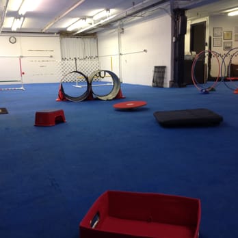 Proper Paws Dog Training - Pet Training Near Me - Concord, Massachusetts Proper Paws Dog Training - Pet Training Near Me - Concord, Massachusetts