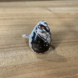 The Hidden Gem