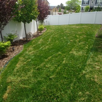Andrew's Lawn Aeration - During power raking - Lawn Services Near Me - Riverton, Utah Andrew's Lawn Aeration - During power raking - Lawn Services Near Me - Riverton, Utah