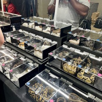 Reptile Super Show - Festivals Near Me - Pomona, California Reptile Super Show - Festivals Near Me - Pomona, California