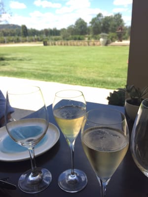 Margan Restaurant & Winery by null