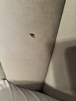 Selina Miami Gold Dust by null