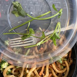 Japanese Pan Noodles Japanese Pan Noodles