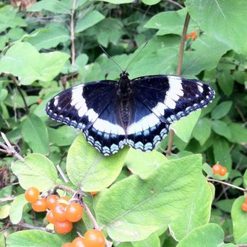 Genesee Valley Greenway - Hiking Near Me