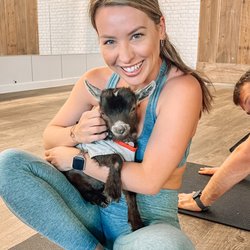 Goga Goat Yoga - This little guy begged for cuddles