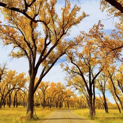 Theodore Roosevelt National Park - In Juniper Campground inside the North Unit of the park in fall. It was stunningly beautiful!