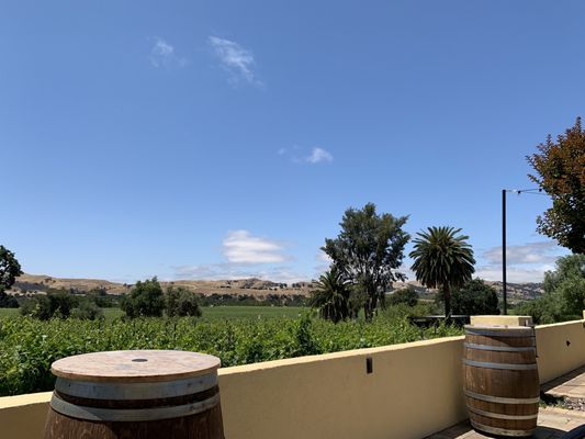 Las Positas Vineyards by null