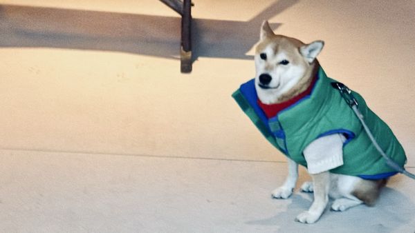 BUDDY BUDDY · Nut Butter Coffee Bar by null