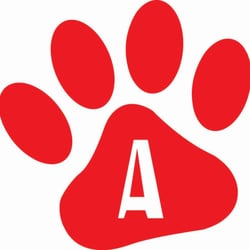 Ace Of Paws