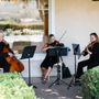 Photo of Caprice Strings