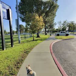 Jack Bulik Park - Dog walk Friendly