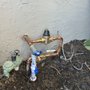 Master Flush Plumbing