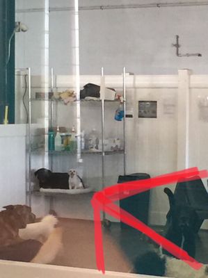 Crate Escape by null