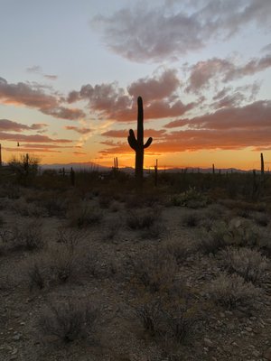 Gilbert Ray Campground by null