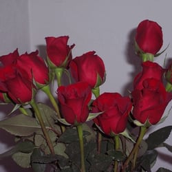 That Flower Guy