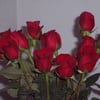 That Flower Guy gift card