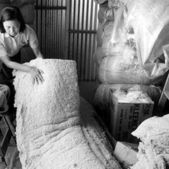 Sachi Organics - Family Run Since 1982 - Furniture Stores Near Me - Albuquerque, New Mexico