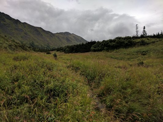 Williwaw Lakes Trail by null