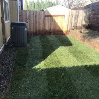 A.D. Landscape Service - After - Back corner - Landscaping Near Me - Sacramento, California