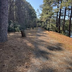 L Scott Stell Park - The paths are most unkempt and only seeing eye dogs are allowed on the paved trail, but you will encounter a few dogs.