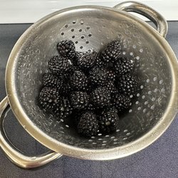 Broers Organic Farm