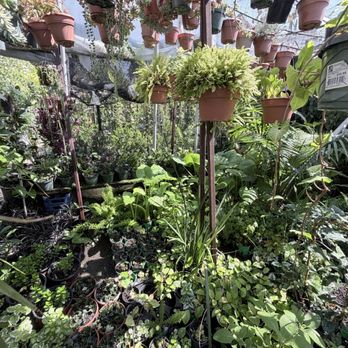 Gonzalez Nursery - Nurseries & Gardening Near Me - Monrovia, California Gonzalez Nursery - Nurseries & Gardening Near Me - Monrovia, California