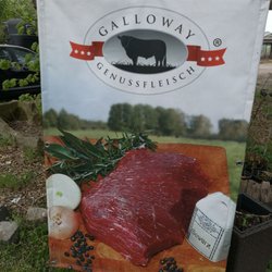 Gallowayhof Stegemann-Wibbelt