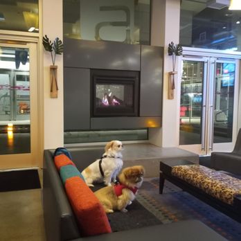 Aloft by Marriott Syracuse Inner Harbor - Abner and Patch hanging in the lobby. - Hotels Near Me - Syracuse, New York