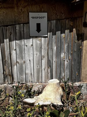 Hole 'N' The Rock by null