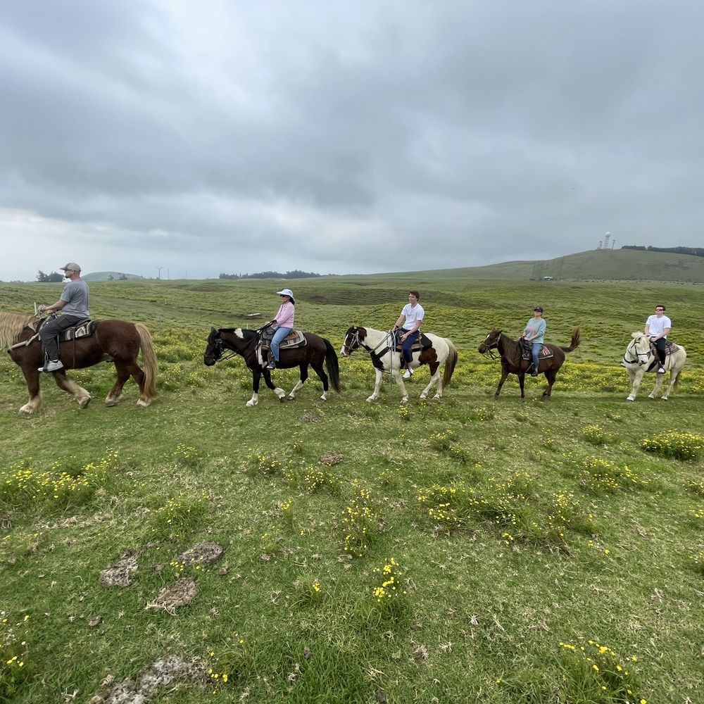 Na'alapa Stables - Horses are all very well behaved - Horseback Riding Near Me - Kamuela, Hawaii Na'alapa Stables - Horses are all very well behaved - Horseback Riding Near Me - Kamuela, Hawaii
