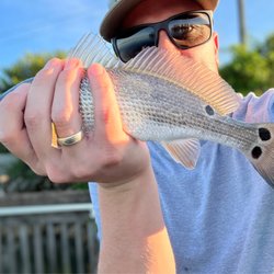 Doc's Bait House