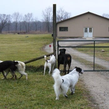 My-T-Fine Kennels - Pet Sitting Near Me - Delaware, Ohio My-T-Fine Kennels - Pet Sitting Near Me - Delaware, Ohio