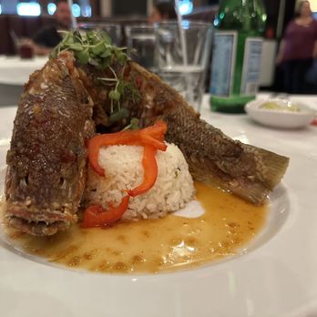 Big Fin Seafood - Full fish - Seafood Near Me - Orlando, Florida Big Fin Seafood - Full fish - Seafood Near Me - Orlando, Florida