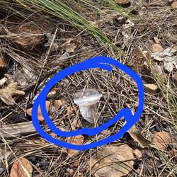 Woods Canyon Lake and Scenic Drive - PACKAGING LABELS - keep nature nice! Throw it away