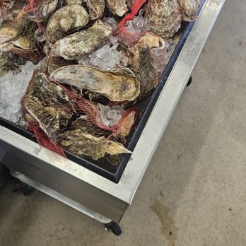 Sea Depot - Seafood Markets Near Me - Cary, North Carolina