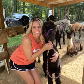Smoky Mountain Llama Treks - These guys were the best and I don't even remember one spitting on me - Hiking Near Me - Cosby, Tennessee Smoky Mountain Llama Treks - These guys were the best and I don't even remember one spitting on me - Hiking Near Me - Cosby, Tennessee
