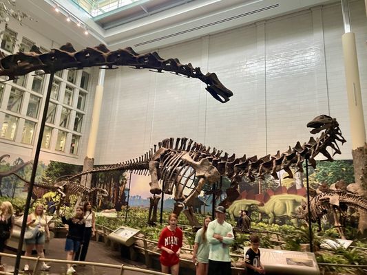 Carnegie Museum of Natural History by null