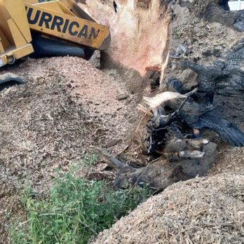 Faley Stump Grinding - Tree Services Near Me