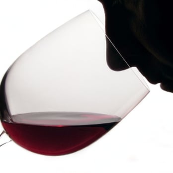 Virginia Wine Specialist - Tours Near Me Virginia Wine Specialist - Tours Near Me