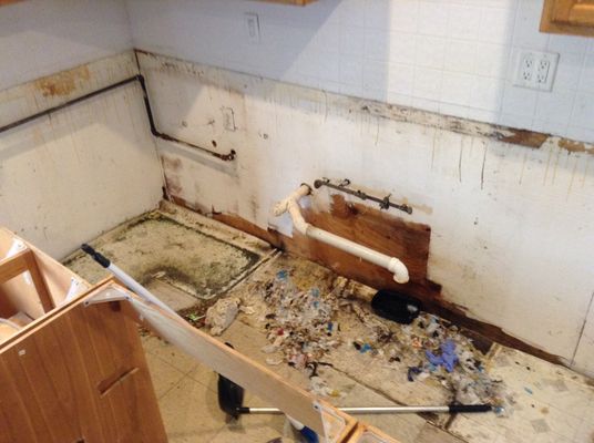Before and after service - "This miceproofing service was done on an old kitchen that was in bad shape. The rest of the house had been updated, so the kitchen stuck out like a sore thumb. We gutted it and sealed behind the cabinets, so mice don’t use that was any more as point of entry, them place the kitchen back,