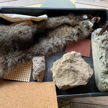 Fallingwater - Touch table at the Visitors Center (raccoon pelt, cork flooring, sandstone, rubber tile & reinforced concrete) - Landmarks & Historical Buildings Near Me - Mill Run, Pennsylvania