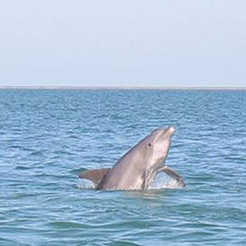 Venus Charters - Boating Near Me - Key West, Florida