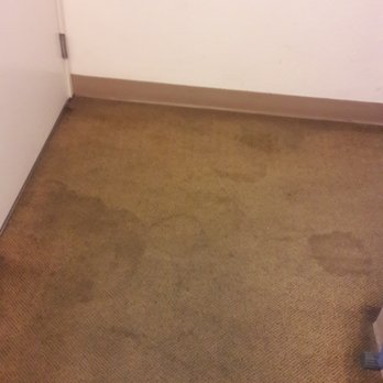 Rodeway Inn - STAINS in the front entry and hall. Disgusting! - Hotels Near Me - Watsonville, California Rodeway Inn - STAINS in the front entry and hall. Disgusting! - Hotels Near Me - Watsonville, California