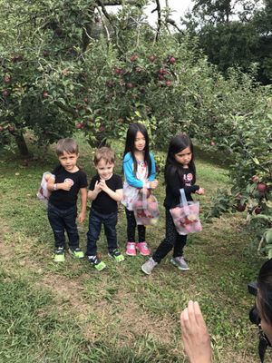 Hillcrest Orchards by null