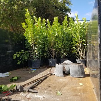 SS Junk Removal - Landscape design - Junk Removal & Hauling Near Me SS Junk Removal - Landscape design - Junk Removal & Hauling Near Me