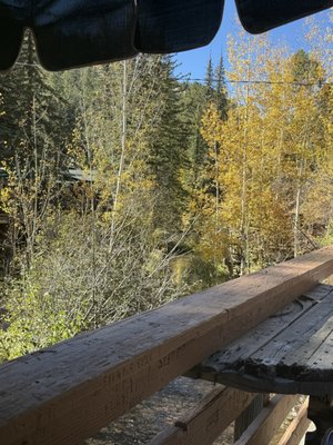 Bucksnort Saloon by null